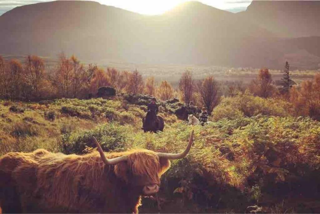 Wild Nurture Eco Luxury Offgrid Log Cabin Fort William Extérieur photo