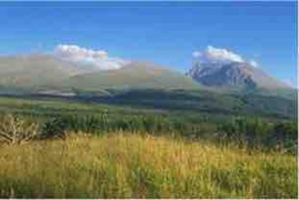 Wild Nurture Eco Luxury Offgrid Log Cabin Fort William Extérieur photo