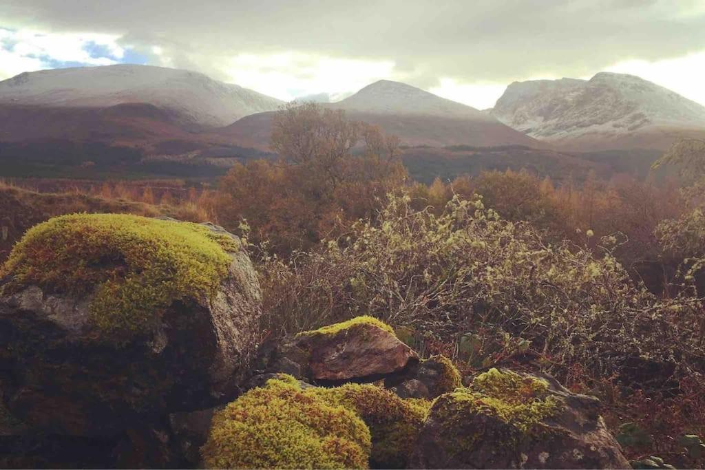 Wild Nurture Eco Luxury Offgrid Log Cabin Fort William Extérieur photo