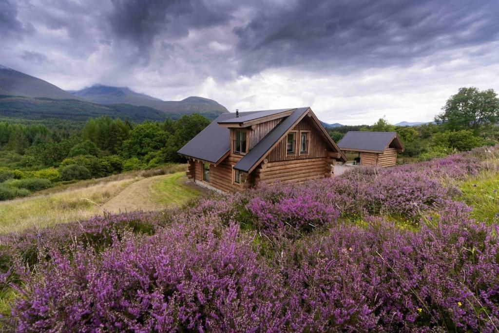 Wild Nurture Eco Luxury Offgrid Log Cabin Fort William Extérieur photo