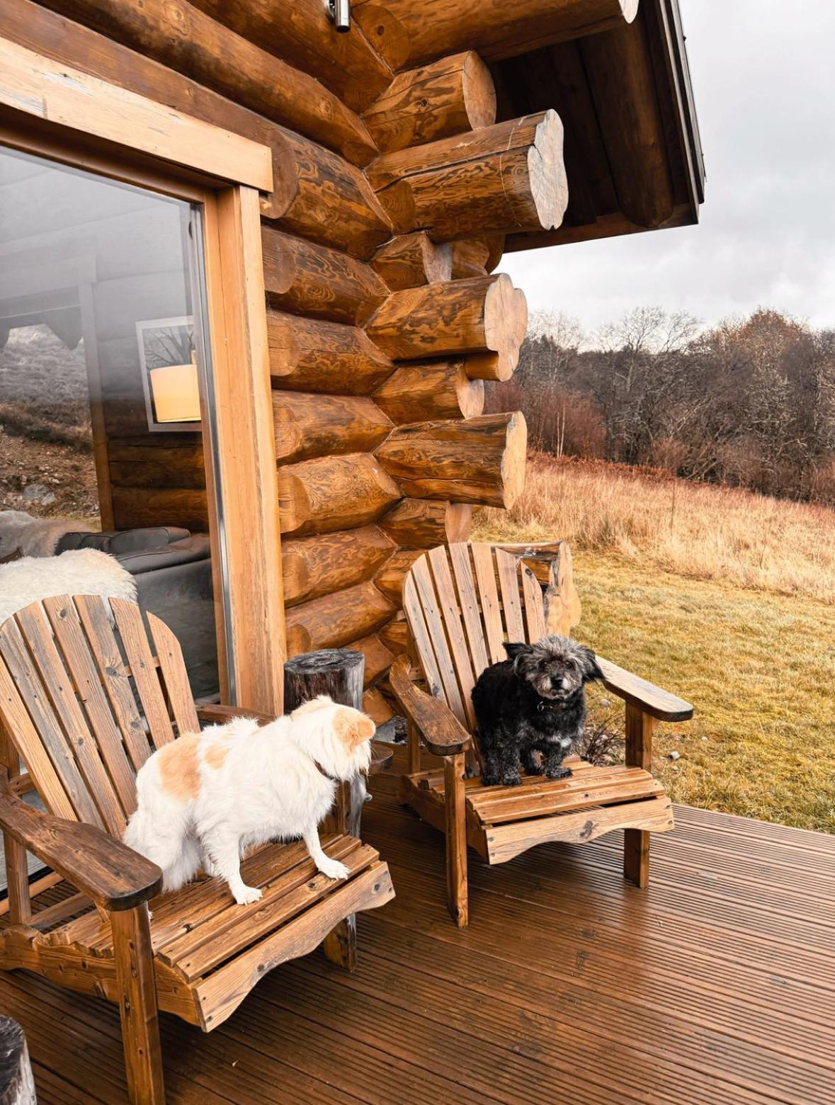 Wild Nurture Eco Luxury Offgrid Log Cabin Fort William Extérieur photo